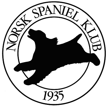logo.nsk